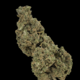 Bubblegum Gelato (Topshelf)