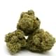 Washington Apple (Top Shelf)