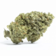 Blueberry Cheese