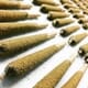 Peach - INDICA INFUSED PREROLLS