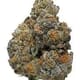 Cookie Monster (EXOTIC A+)