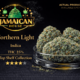 Northern Light TS