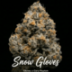 Snow Gloves