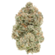 1964 - Organic Pink Kush 7g >I