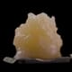 Exotic wax