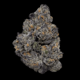 Nightshade