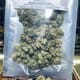 (MONT VERTE) 14G 11 LEAFS OG