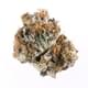 Cherry Cake ( AAA+)