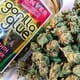 Gorilla Glue #4
