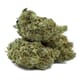 Green Crack