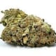 Green Crush (TOP SHELF)