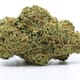 White Widow