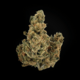 Frosted Flakes