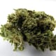 Sno Cap