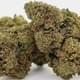 Silver Kush