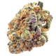 Pineapple Mimosa - Sativa THC 25%