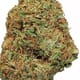 NORTHERN LIGHTS (PREMIUM)