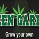 Strewberry Cough