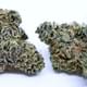 Purple Pineapple(exotic)
