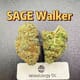 SAGE Walker---Top Shelf
