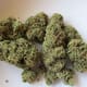 Silencer Small buds