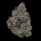 Black Ice