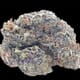 WHITE CHERRY TRUFFLE (INDICA)