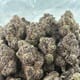 Dirty Sherly Designer Exclusives | 46% THC Premium Cannabis