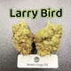 Larry Bird