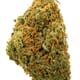 The Dutchess (EXOTIC A+)