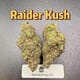 Raider Kush---Exotics