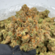 Silver Surfer (Hybrid)