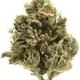 LA Confidential INDICA (EXOTIC)