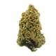 Lambs Breath
