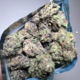 Blueberry Blast (Premium)