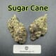 Sugar Cane---Exotics
