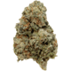 Sour Diesel (I)