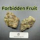 Forbidden Fruit---Designer