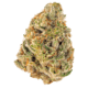 Amnesi-K Lemon