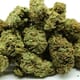 Jack Herer
