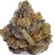 Pineapple Express (exotic)
