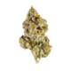Buddha Haze
