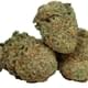 Durban Poison (exotic)