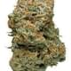 Larry OG (PREMIUM)