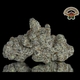 Gorilla glue (DESIGNER)