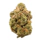 Magic Kush (PREMIUM)