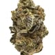 Alien Cookies - Hybrid THC 26%