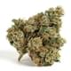 White fire punch (AAA+)
