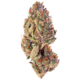 Tropicana Cookies