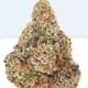 ORANGE CREAM (INFUSED DIAMOND DUSTED)
